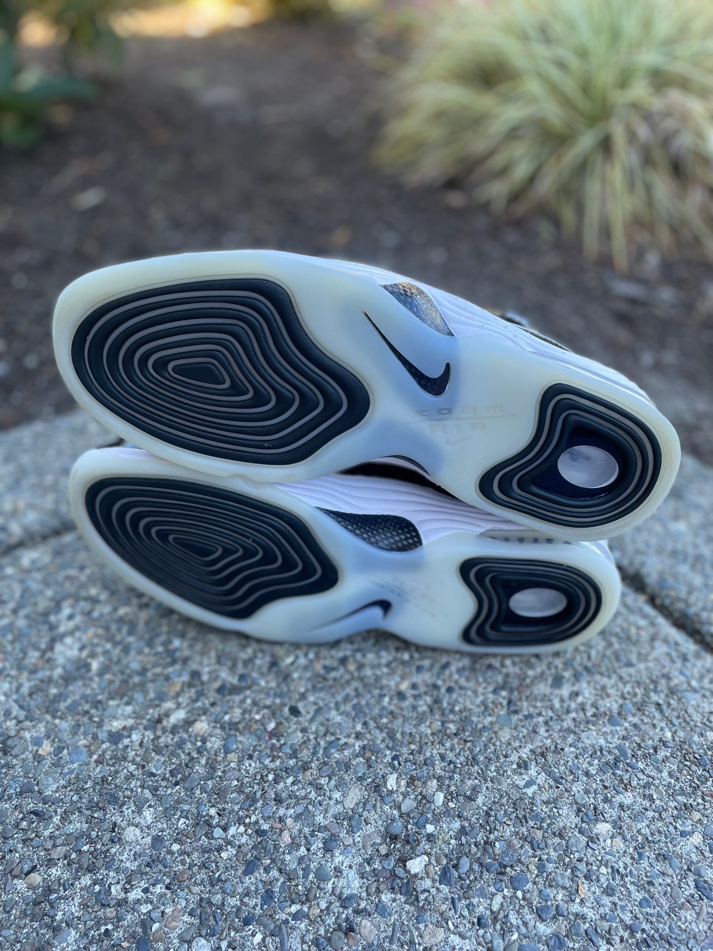 DV0817-001 Pre owned Nike Penny 2 black patent size 14 no box