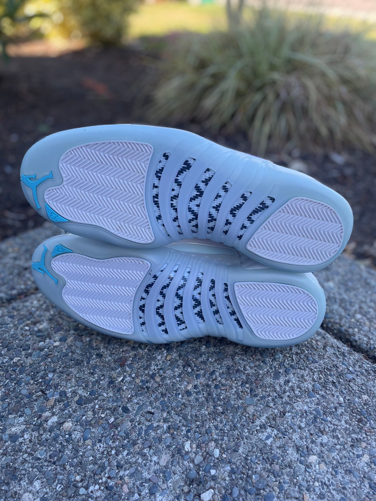DB0773-190 New Jordan 12 Easter low size 13 with box