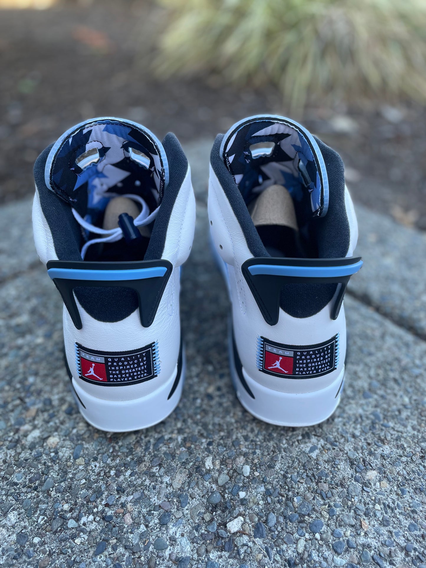 CT8529-410 New Jordan 6 “UNC” size 13 with box