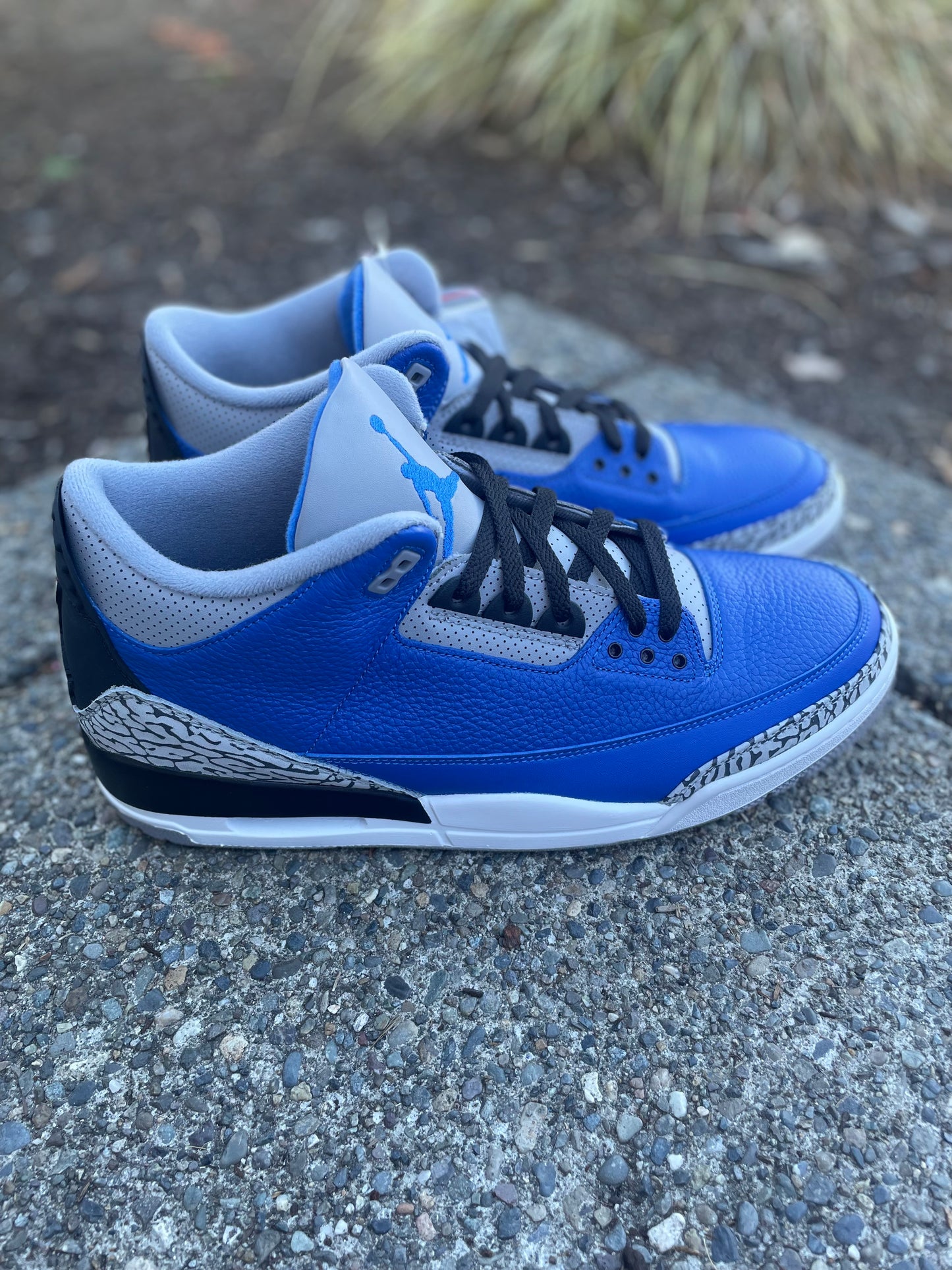 CT8532-400 New Jordan 3  retro “Royal” size 13 with box