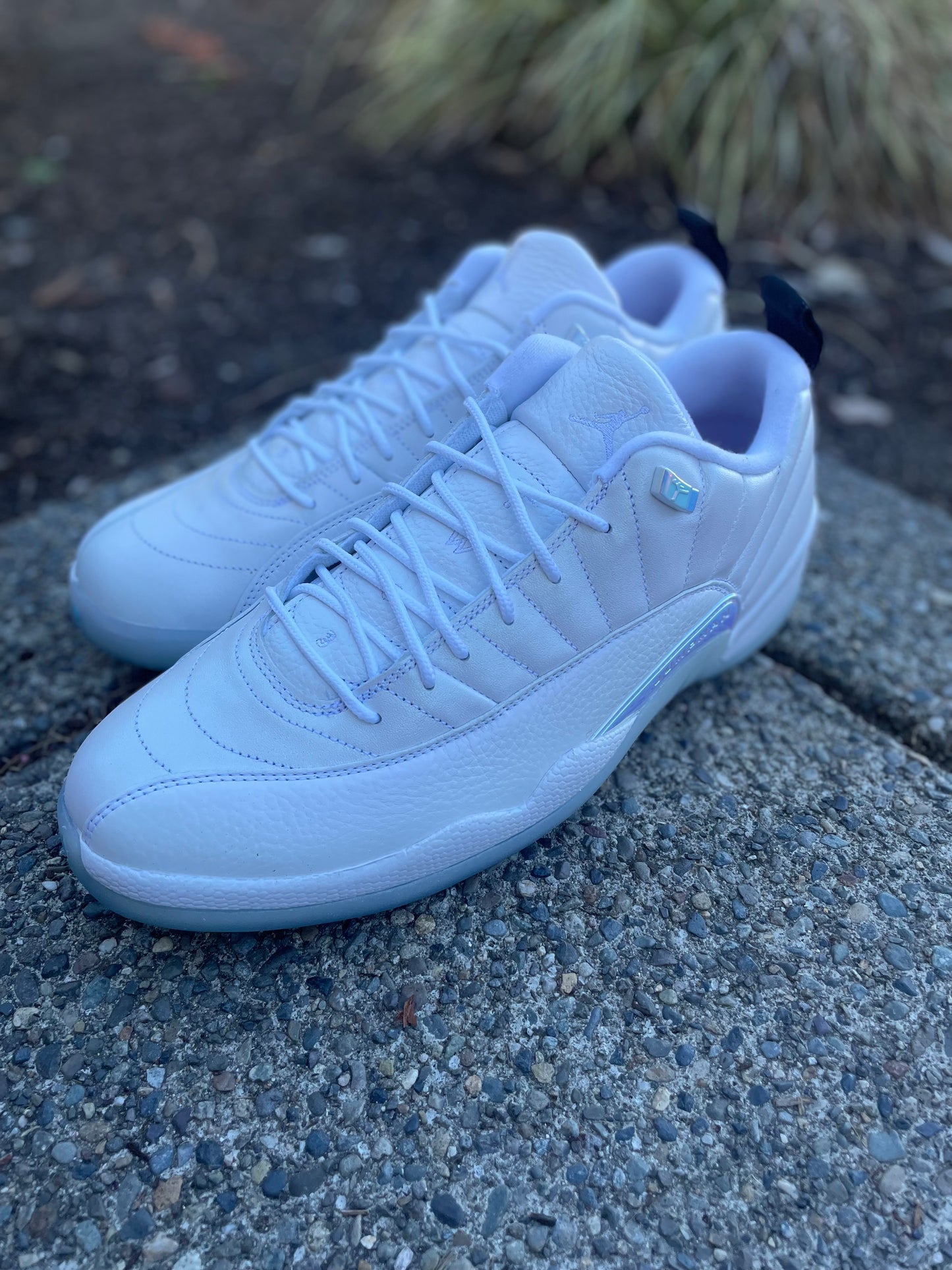 DB0773-190 New Jordan 12 Easter low size 13 with box
