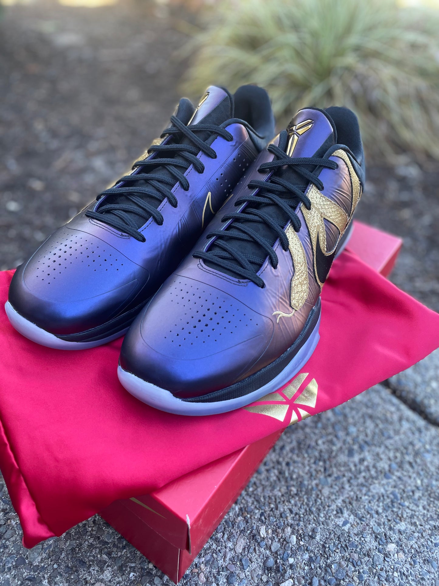 IB4481-500 Pre owned Nike Kobe 5 Protro “YOTM” eggplant size 14 with box