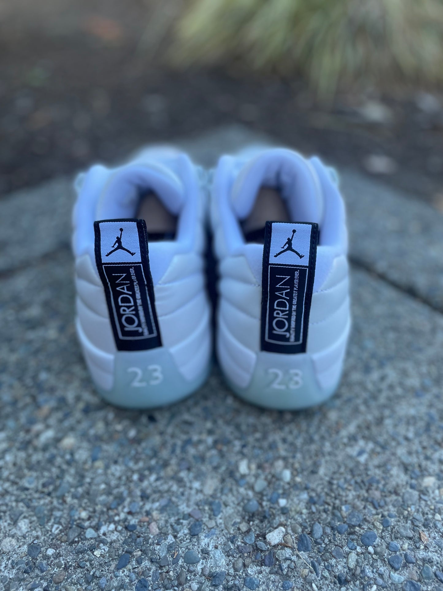 DB0773-190 New Jordan 12 Easter low size 13 with box
