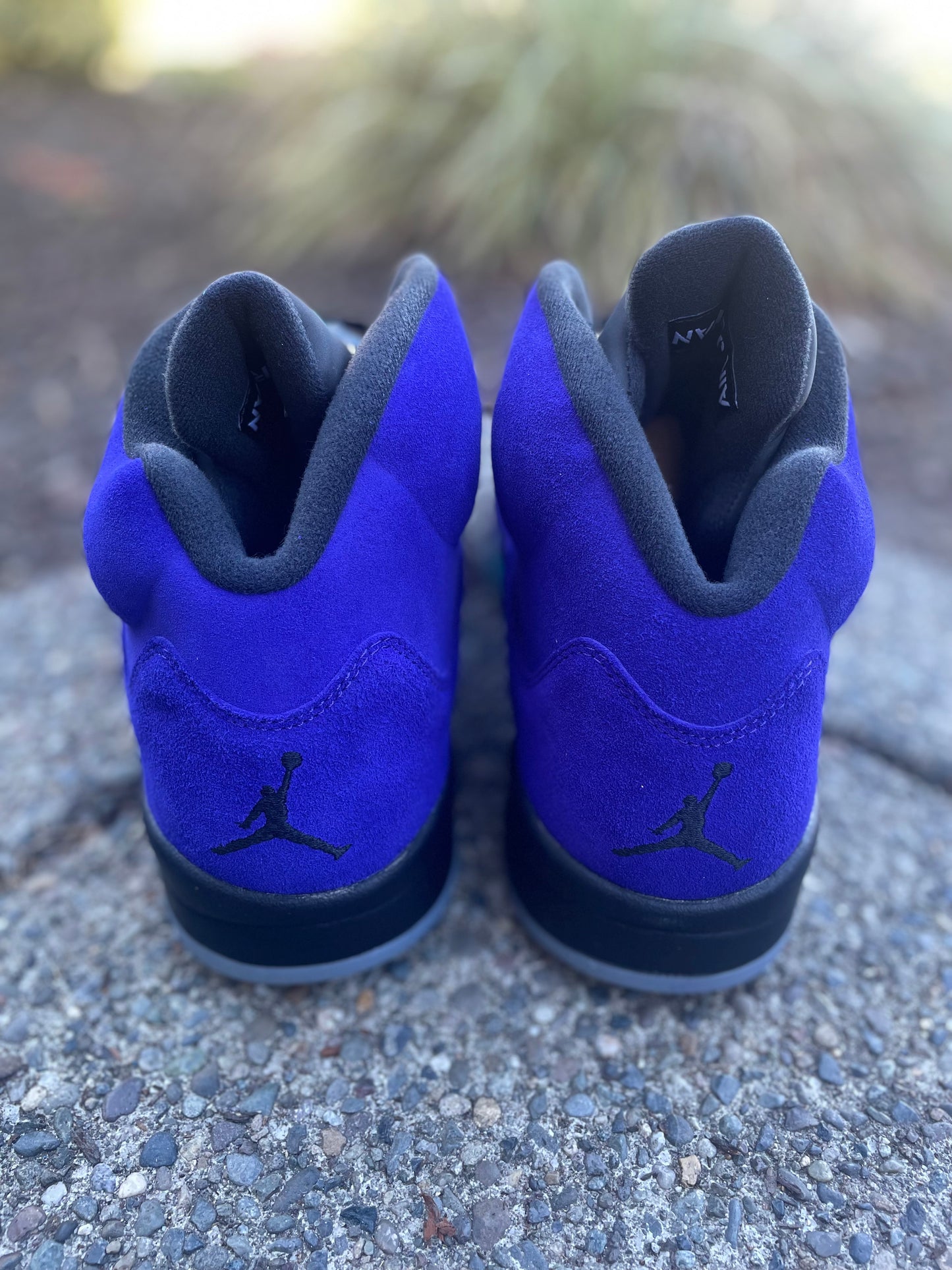 136027-500 New Jordan Grape “alternate” size 13 with box