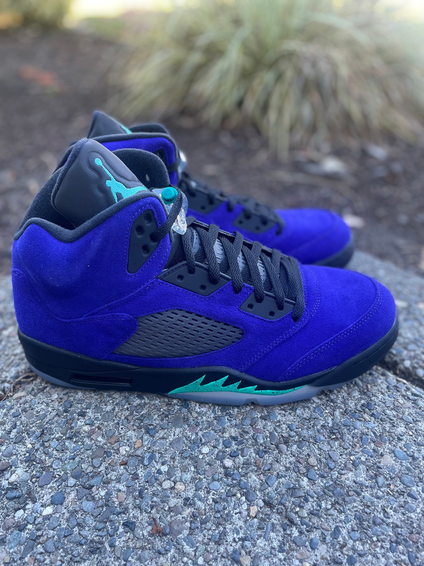 136027-500 New Jordan Grape “alternate” size 13 with box