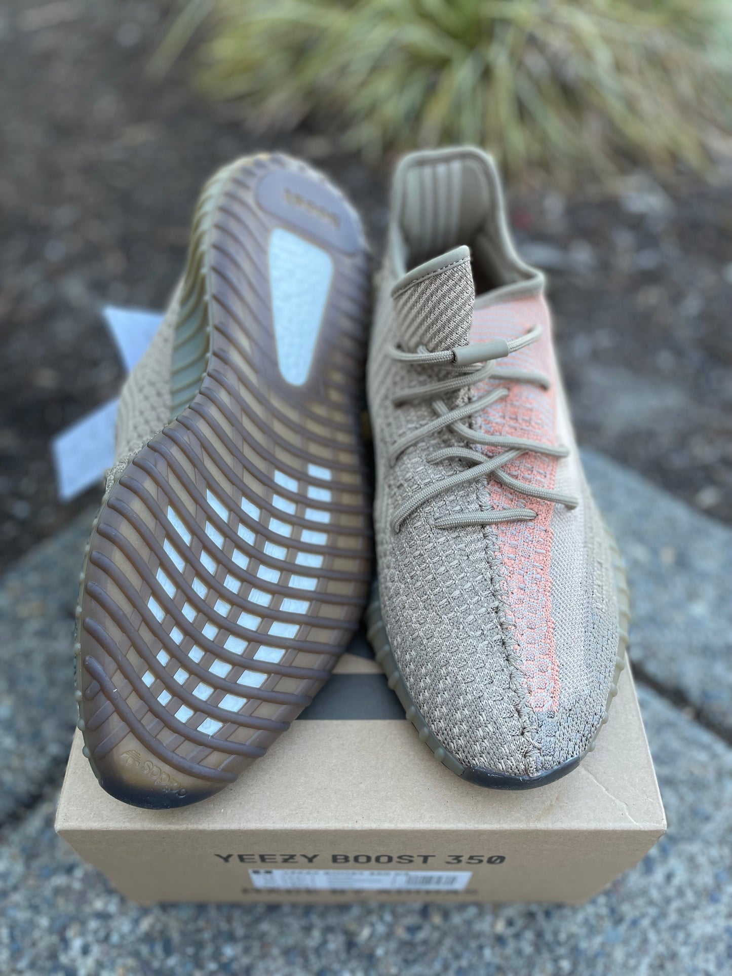 FZ5240 -New Yeezy 350 V2 Sand taupe size 13 with box